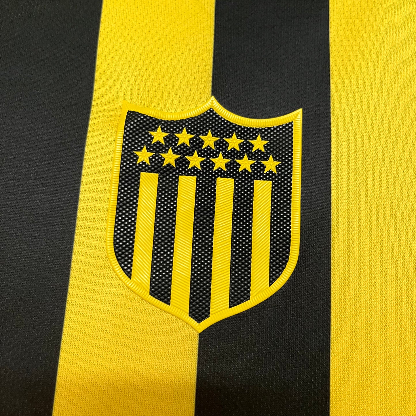 PEÑAROL TITULAR 2024